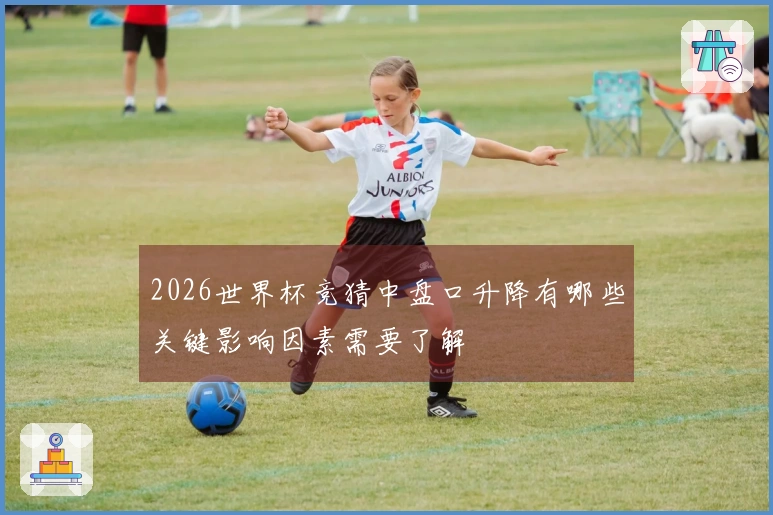 2026世界杯竞猜中盘口升降有哪些关键影响因素需要了解