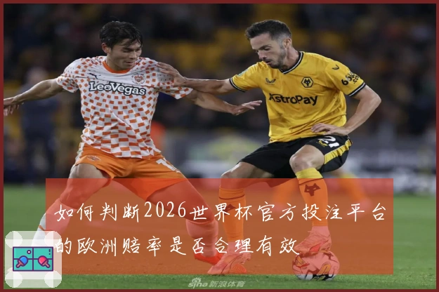 如何判断2026世界杯官方投注平台的欧洲赔率是否合理有效