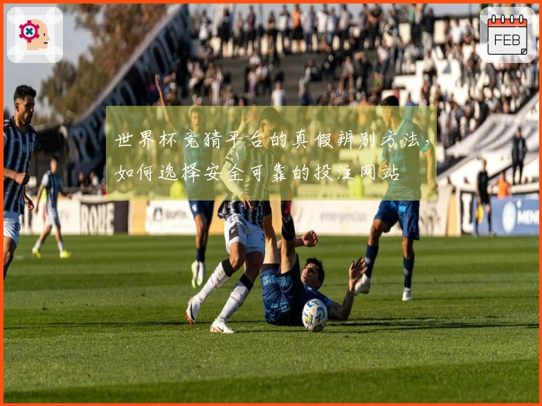 世界杯竞猜平台的真假辨别方法，如何选择安全可靠的投注网站