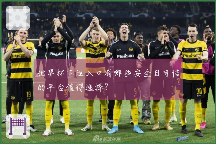 世界杯下注入口有哪些安全且可信的平台值得选择？