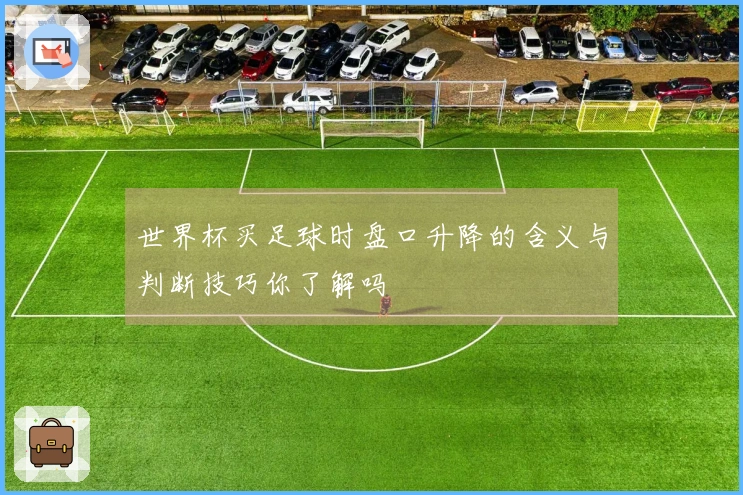 世界杯买足球时盘口升降的含义与判断技巧你了解吗