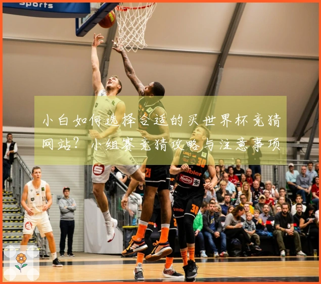 小白如何选择合适的买世界杯竞猜网站？小组赛竞猜攻略与注意事项解析